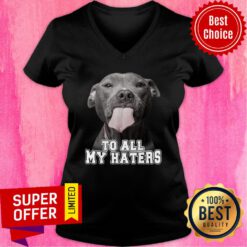 Bleble Pitbull To All My Haters V-neck