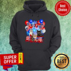 Cats Independence Day American Flag Hoodie