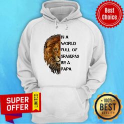 In A World Full Of Grandpas Be A Papa Lion Hoodie