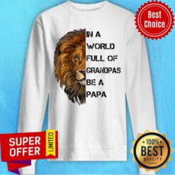 In A World Full Of Grandpas Be A Papa Lion Sweatshirt