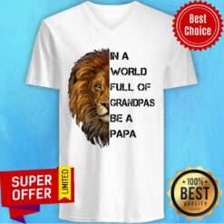 In A World Full Of Grandpas Be A Papa Lion V-neck