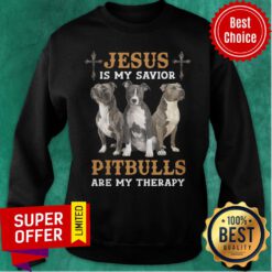 Pitbull Jesus Is My Savior Are My Therapy Sweatshirt