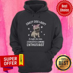 Bulldog Crazy Dog Lady I Prefer The Term Dedicated Canine Enthusiast Paw Dog Hoodie