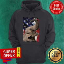 Elephant Butterfly On Nose Elephant Lovers USA Flag Hoodie