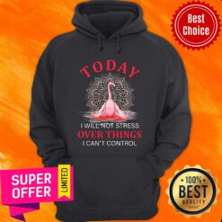 Flamingo Today Yoga Over Things Cant Control Hoodie