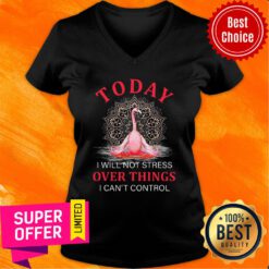 Flamingo Today Yoga Over Things Cant Control V-neck