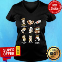 Hambuger Cat Pancake Cat Salmon Roe Cat Noodle Cat V-neck
