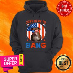 Just Here To Bang Pitbull 4th Of July Patriotic America Flag Hoodie