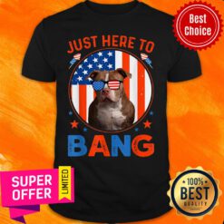 Just Here To Bang Pitbull 4th Of July Patriotic America Flag Shirt