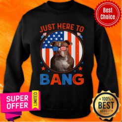 Just Here To Bang Pitbull 4th Of July Patriotic America Flag Sweatshirt