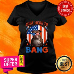 Just Here To Bang Pitbull 4th Of July Patriotic America Flag V-neck