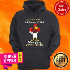 My Spirit Animal Is A Grumpy Chicken Who Slaps Hoodie
