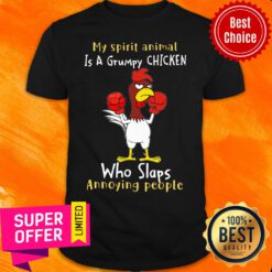 My Spirit Animal Is A Grumpy Chicken Who Slaps Shirt