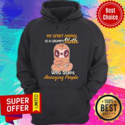 My Spirit Animal Is A Grumpy Sloth Angry Who Slaps Annoying People Hoodie