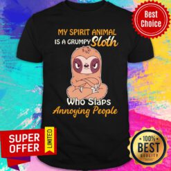 My Spirit Animal Is A Grumpy Sloth Angry Who Slaps Annoying People Shirt