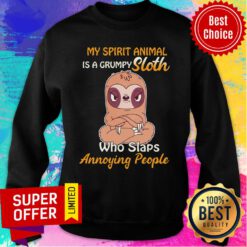 My Spirit Animal Is A Grumpy Sloth Angry Who Slaps Annoying People Sweatshirt