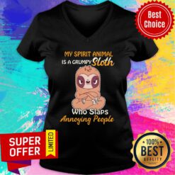 My Spirit Animal Is A Grumpy Sloth Angry Who Slaps Annoying People V-neck