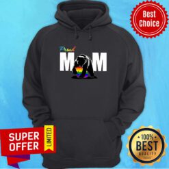 Nice Bear Proud Mom LGBT Hoodie