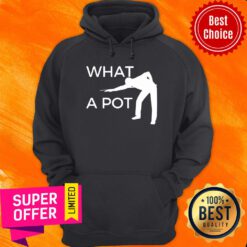What A Pot Billiards Posture Hoodie