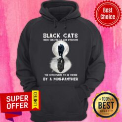 Black Cat Were Created To Give Everyone The Opportunity To Be A Owned By A Mini Pather Hoodie