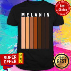 Cute Melanin Shades Black Pride Shirt
