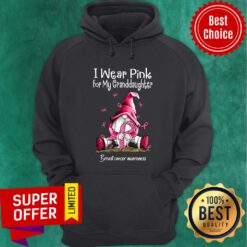 Gnome I Wear Pink For My Granddaughter Hoodie