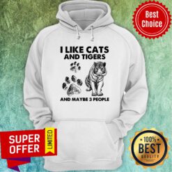 I Like Cats And Tigers And Maybe 3 People Hoodie