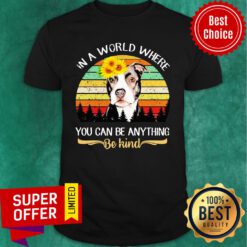 Pitbull Sunflower In A Where You Can Be Anything Be Kind Vintage Shirt