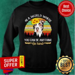 Pitbull Sunflower In A Where You Can Be Anything Be Kind Vintage Sweatshirt