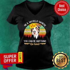 Pitbull Sunflower In A Where You Can Be Anything Be Kind Vintage V-neck