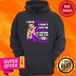 Sloth I Have Fibromylgia I Don't Have Energy Today Hoodie