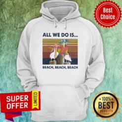 Bird All We Do Is Beach Beach Beach Vintage Retro Hoodie