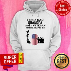 I’m A Dad Grandpa And A Veteran Nothing Scares Me US Flag Hoodie
