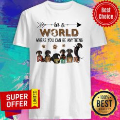 In A World Where You Can Be Anything Be Kind Shirt