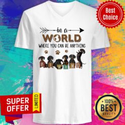 In A World Where You Can Be Anything Be Kind V-neck