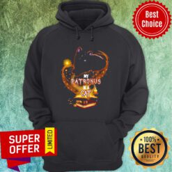 My Patronus Is A Cat Witch Pumpkin Halloween Hoodie