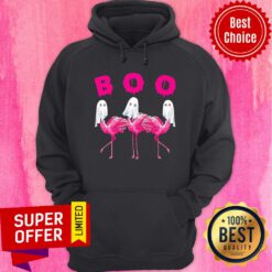 Official Boo Ghost Flamingo Halloween Hoodie