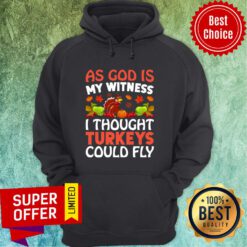 As God Is My Witness I Thought Turkeys Could Fly Hoodie