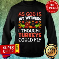 As God Is My Witness I Thought Turkeys Could Fly Sweatshirt
