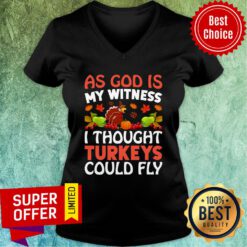 As God Is My Witness I Thought Turkeys Could Fly V-neck