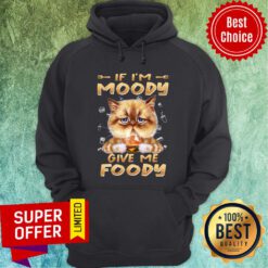 Cat Eat Hamberger If I'm Moody Give Me Foody Hoodie