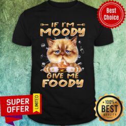 Cat Eat Hamberger If I'm Moody Give Me Foody Shirt