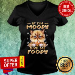 Cat Eat Hamberger If I'm Moody Give Me Foody V-neck