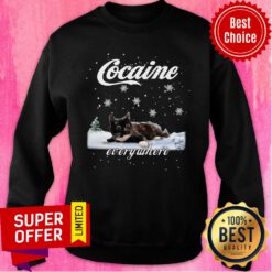 Cocaine Cat Funny Everywhere Snowny Christmas Sweatshirt