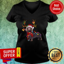 Dachshund Reindeer Light Christmas V-neck