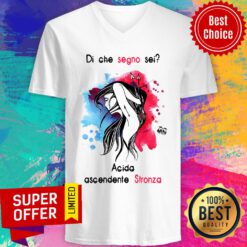 Di Che Segno Sei Acida Ascendente Stronza V-neck