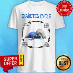 Diabetes Cycle Take Insulin Low Blood Sugar Eat Entire Kitchen High Blood Sugar Shirt