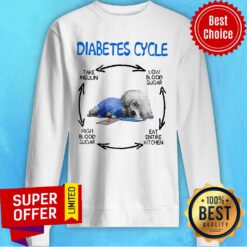 Diabetes Cycle Take Insulin Low Blood Sugar Eat Entire Kitchen High Blood Sugar Sweatshirt