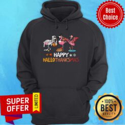 Flamingos Pumpkin Happy Hallothanksmas Hoodie