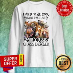 Horse I Used To Be Cool Now I'm Just My Horse Grass Dealer Sweatshirt